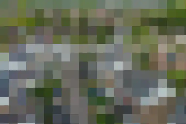 Kreitenborg 68 Zevenbergen thumbnail 46