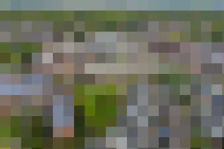 Kreitenborg 68 Zevenbergen thumbnail 47