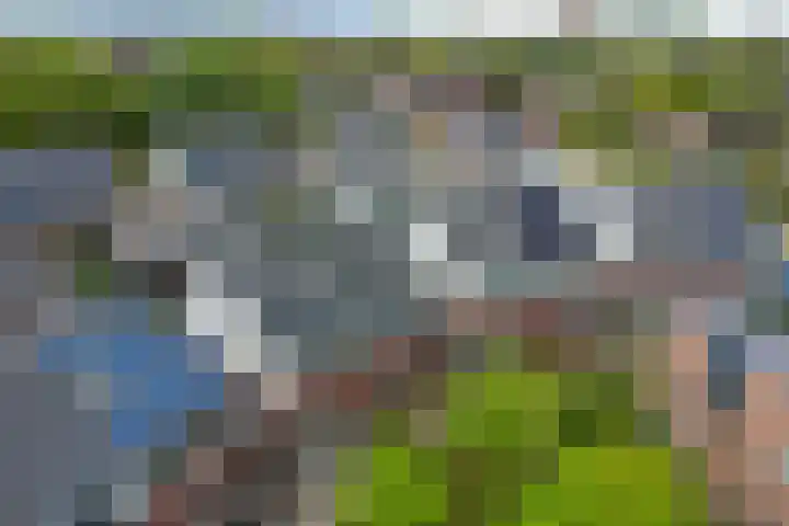 Kreitenborg 68 Zevenbergen thumbnail 48