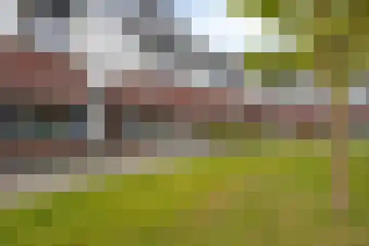 Kreitenborg 68 Zevenbergen thumbnail 6