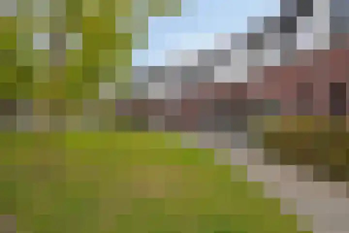 Kreitenborg 68 Zevenbergen thumbnail 7