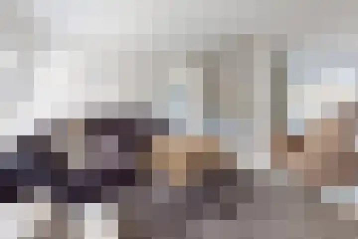 Kreitenborg 72 Zevenbergen thumbnail 11