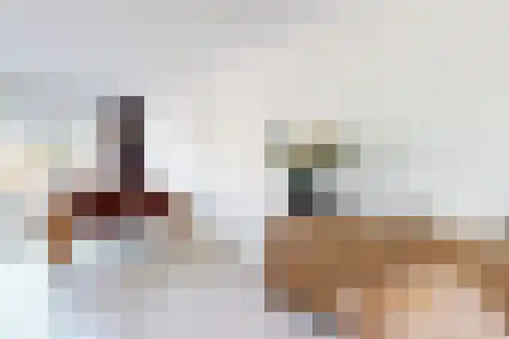 Kreitenborg 72 Zevenbergen thumbnail 15
