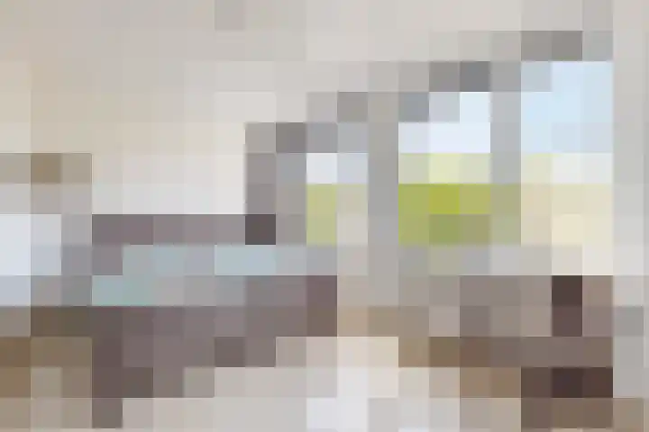 Kreitenborg 72 Zevenbergen thumbnail 29