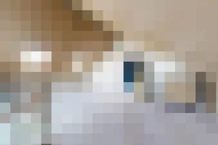 Kreitenborg 72 Zevenbergen thumbnail 41