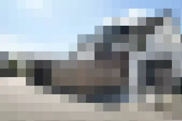 Kreitenborg 72 Zevenbergen thumbnail 48