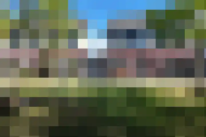 Kreitenborg 72 Zevenbergen thumbnail 51