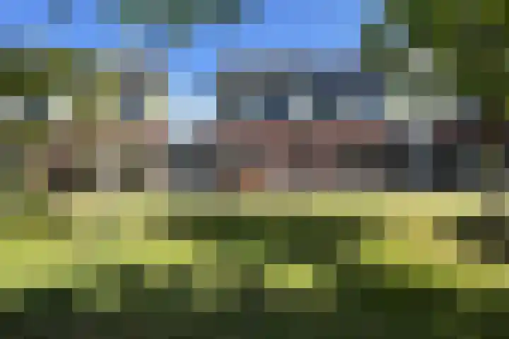 Kreitenborg 72 Zevenbergen thumbnail 52