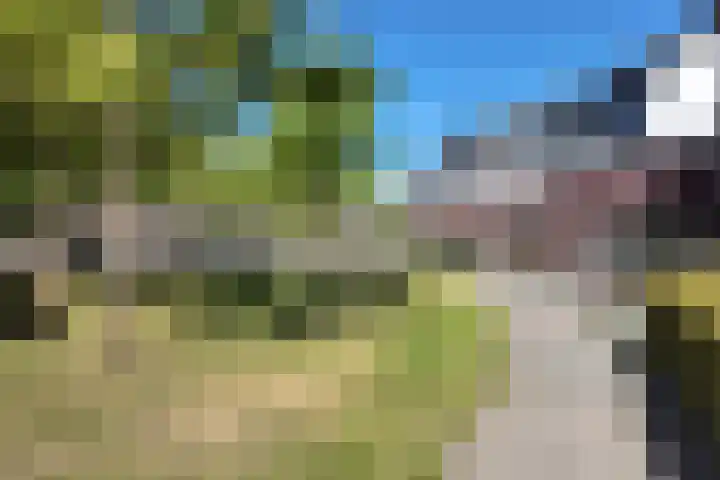 Kreitenborg 72 Zevenbergen thumbnail 53