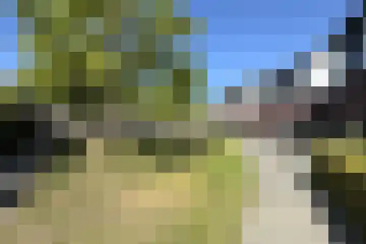 Kreitenborg 72 Zevenbergen thumbnail 54