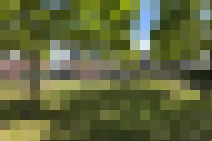 Kreitenborg 72 Zevenbergen thumbnail 55