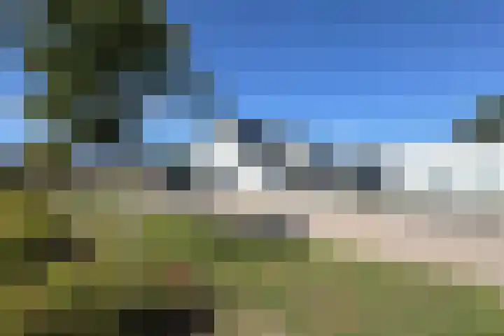 Kreitenborg 72 Zevenbergen thumbnail 56