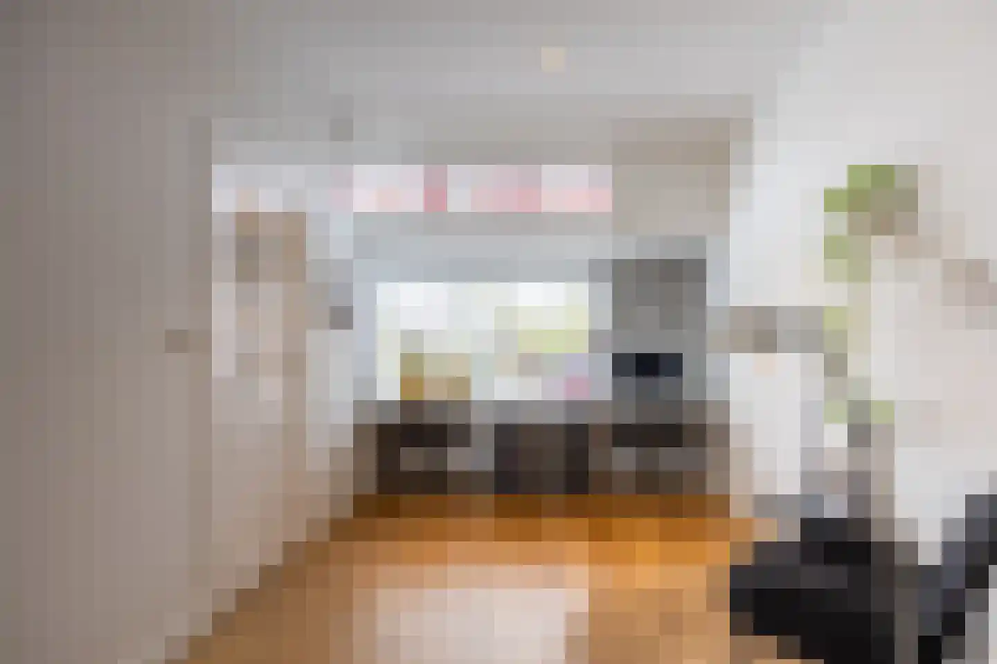Kreitenmolenstraat 130 Udenhout thumbnail 11