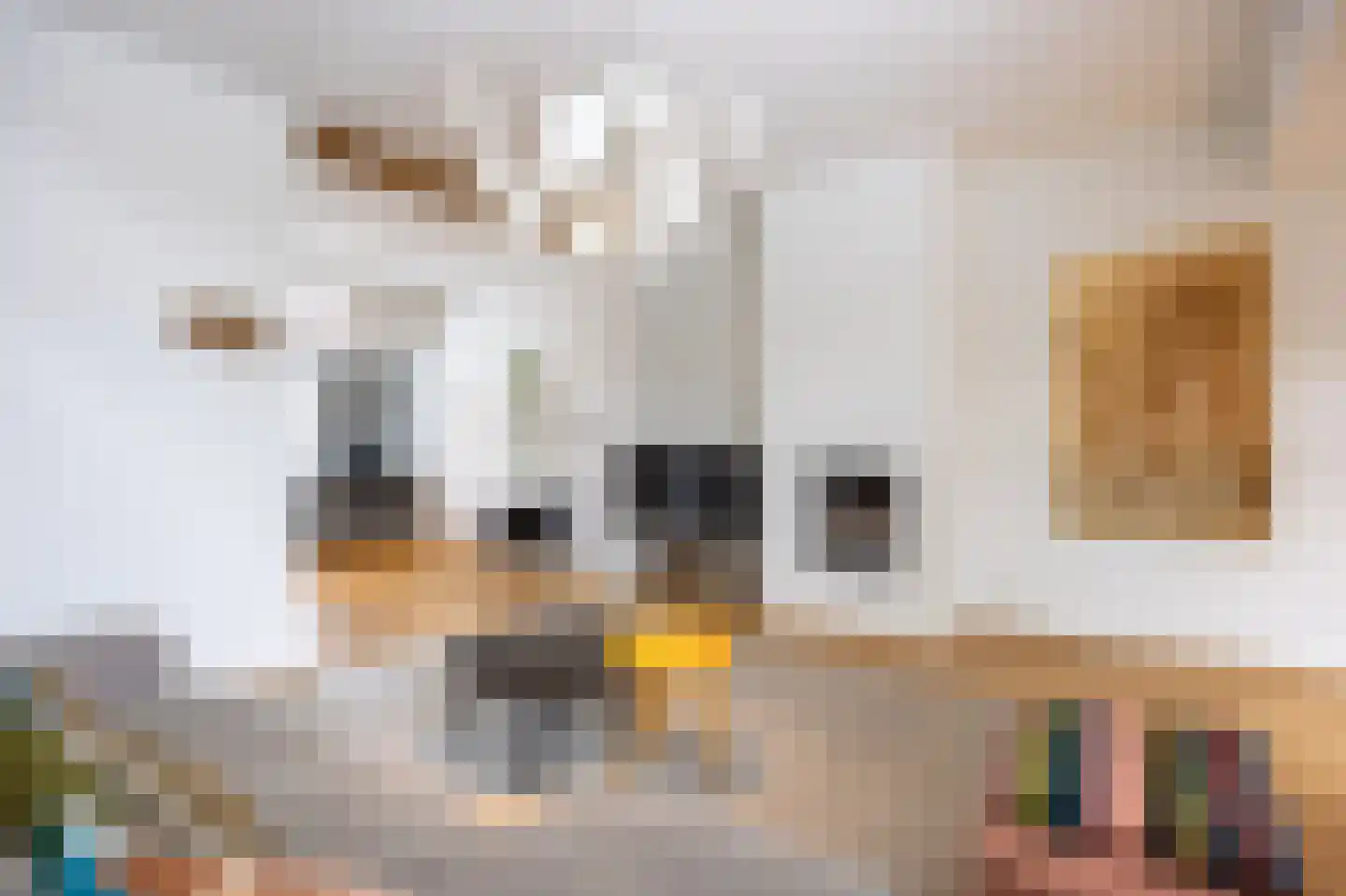 Kreitenmolenstraat 130 Udenhout thumbnail 12