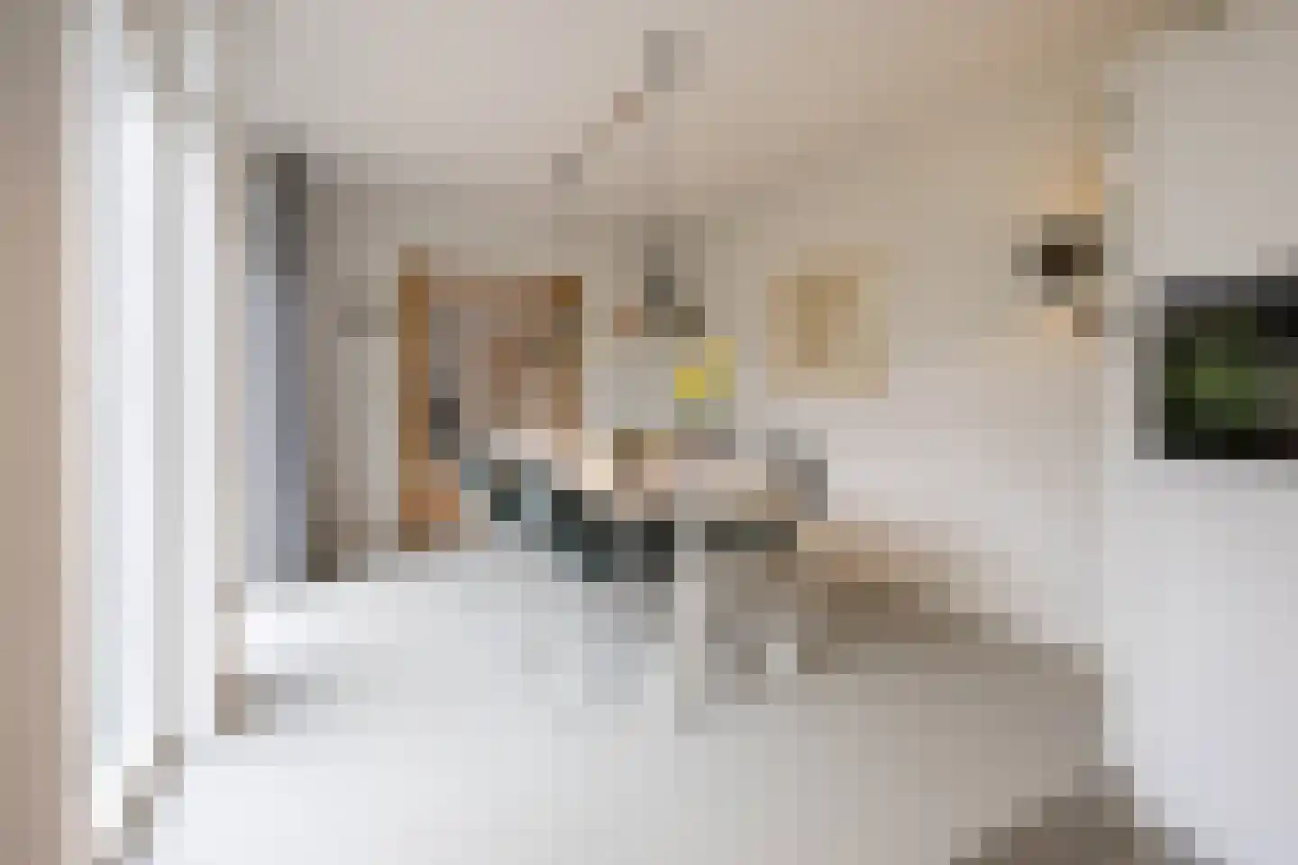 Kreitenmolenstraat 130 Udenhout thumbnail 19