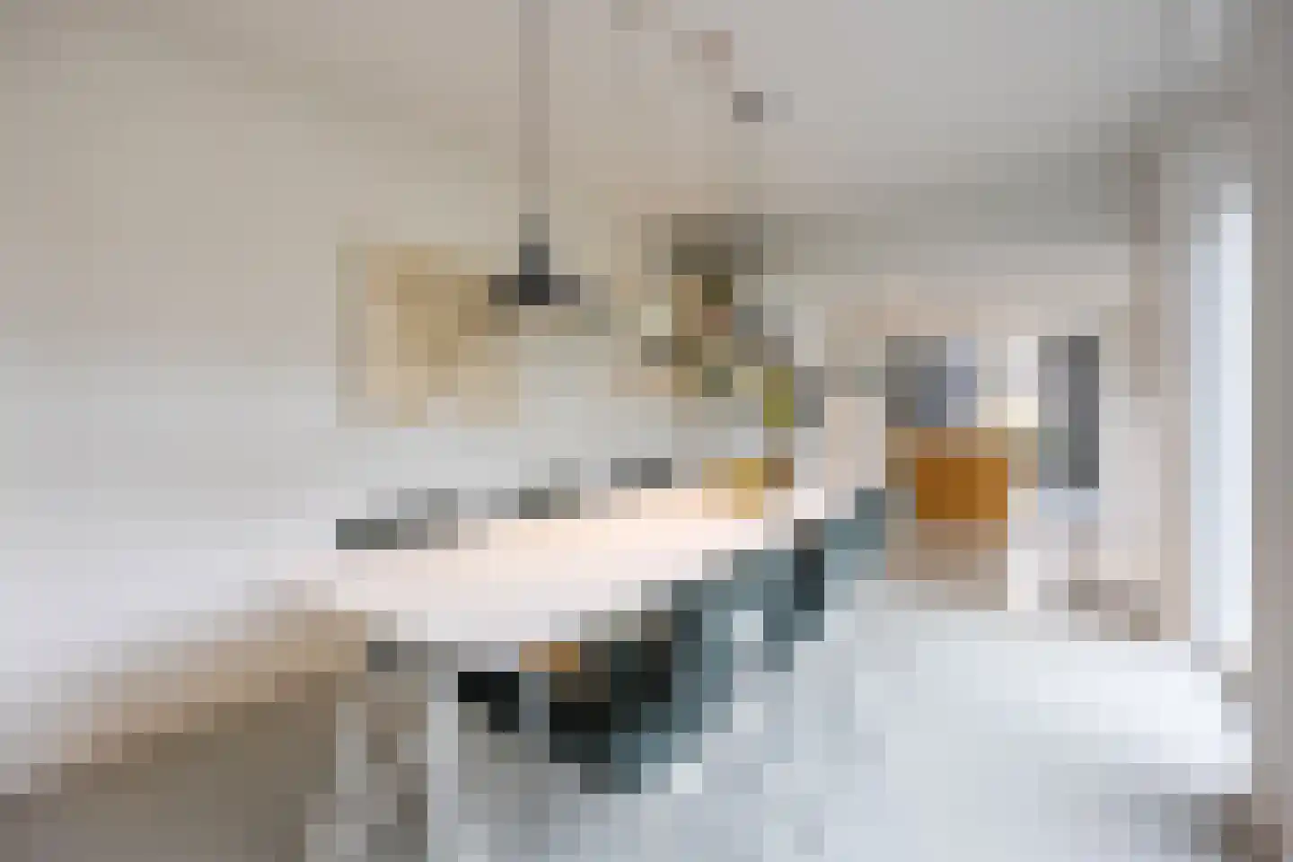 Kreitenmolenstraat 130 Udenhout thumbnail 20