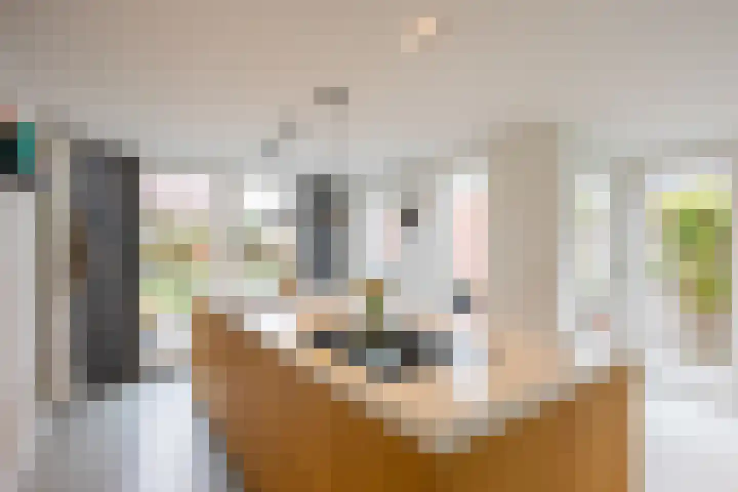 Kreitenmolenstraat 130 Udenhout thumbnail 24