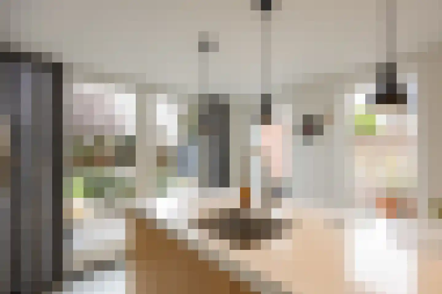 Kreitenmolenstraat 130 Udenhout thumbnail 27