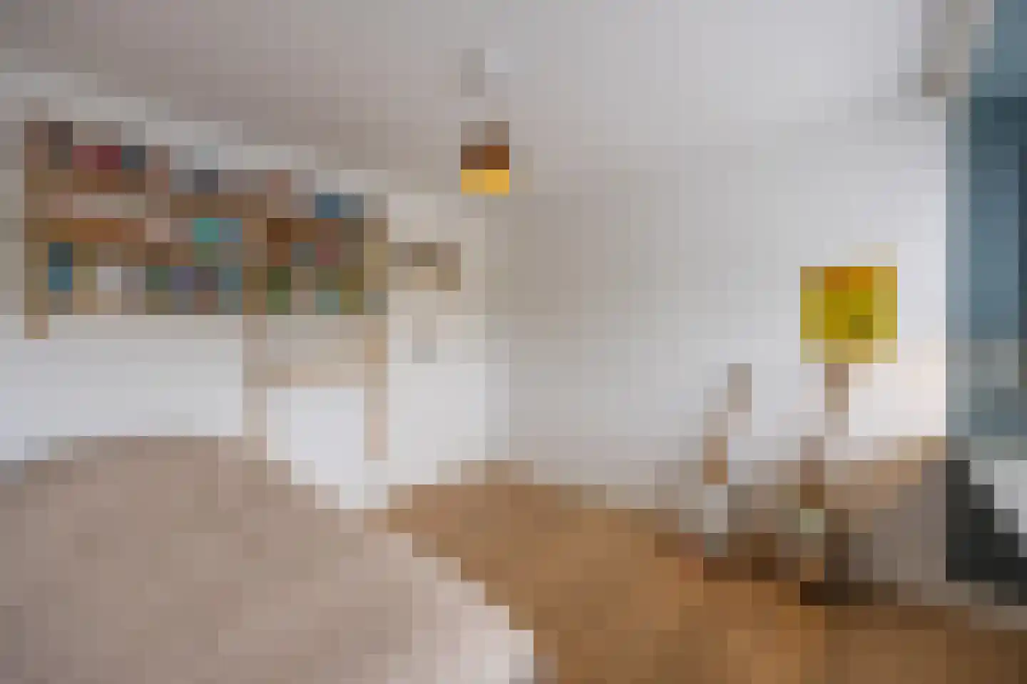 Kreitenmolenstraat 130 Udenhout thumbnail 30