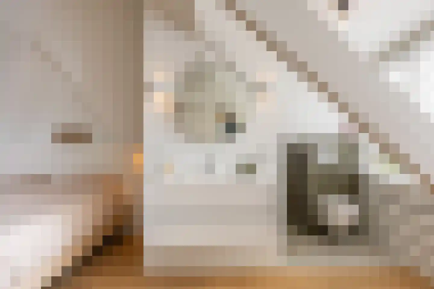 Kreitenmolenstraat 130 Udenhout thumbnail 42