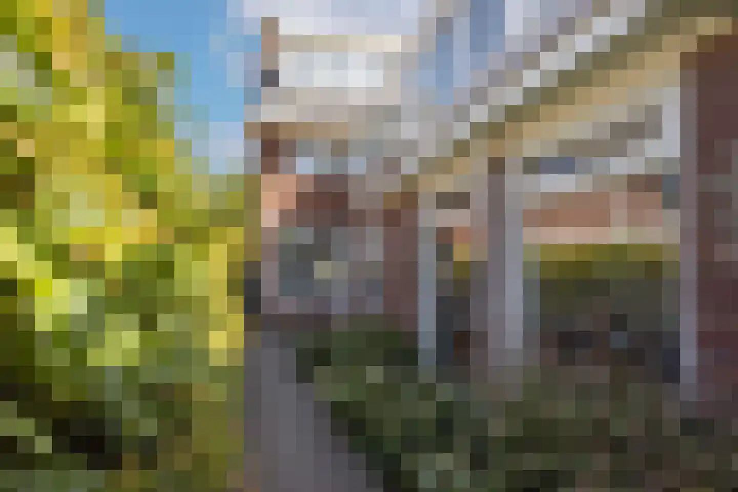 Kreitenmolenstraat 130 Udenhout thumbnail 54