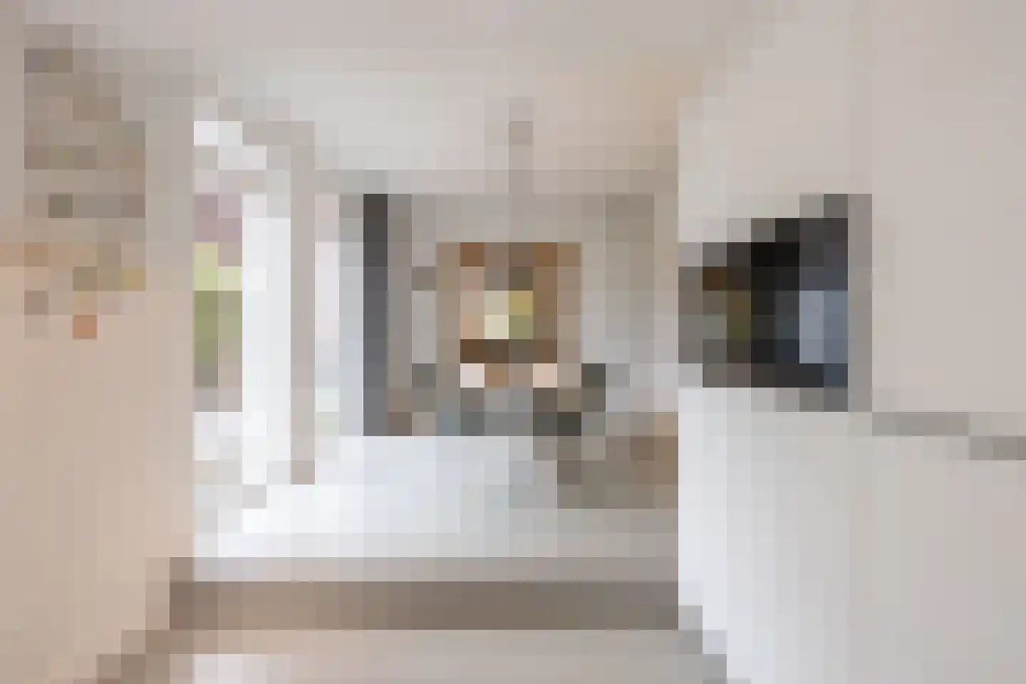 Kreitenmolenstraat 130 Udenhout thumbnail 6