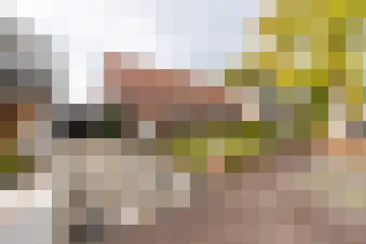 Kreitenmolenstraat 162 Udenhout thumbnail 7