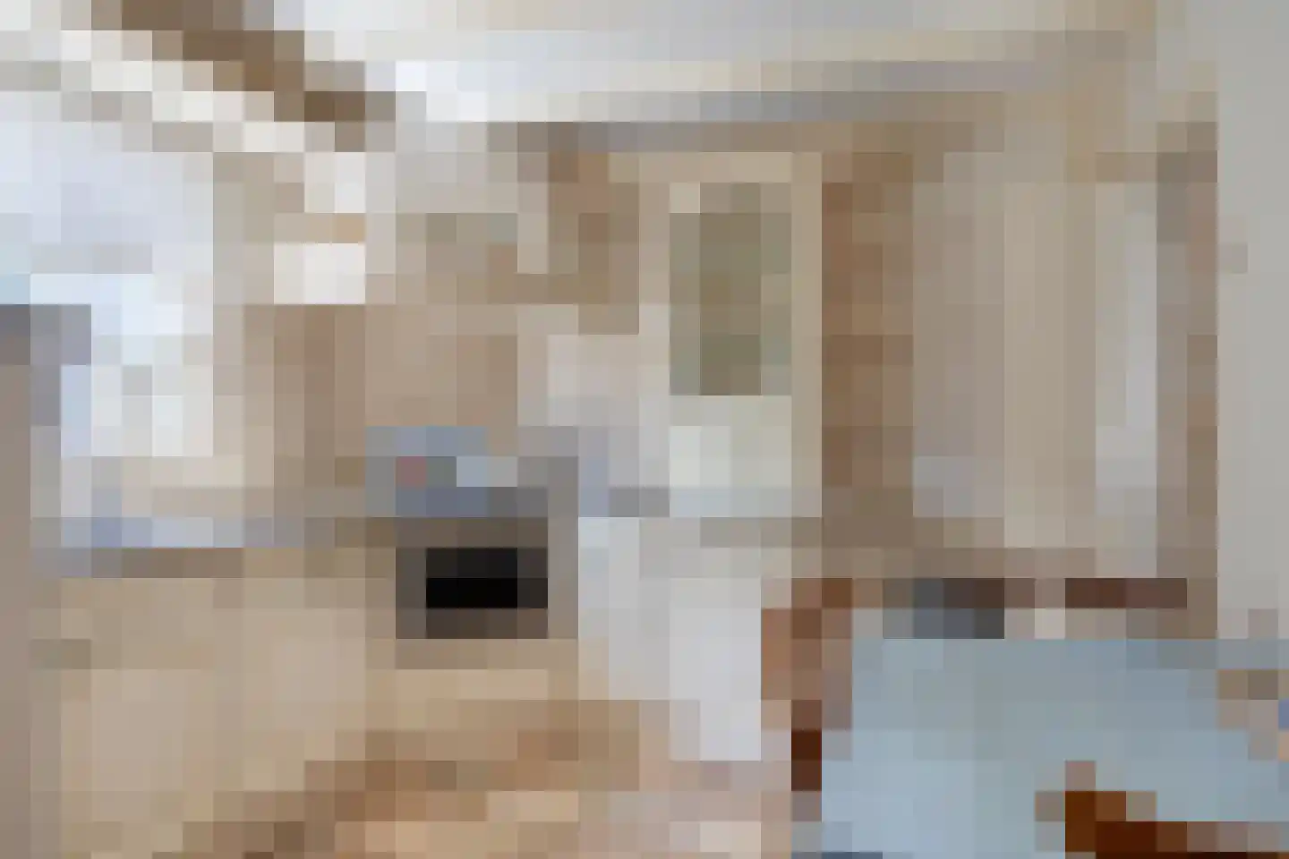 Kreitenmolenstraat 179 Udenhout thumbnail 16