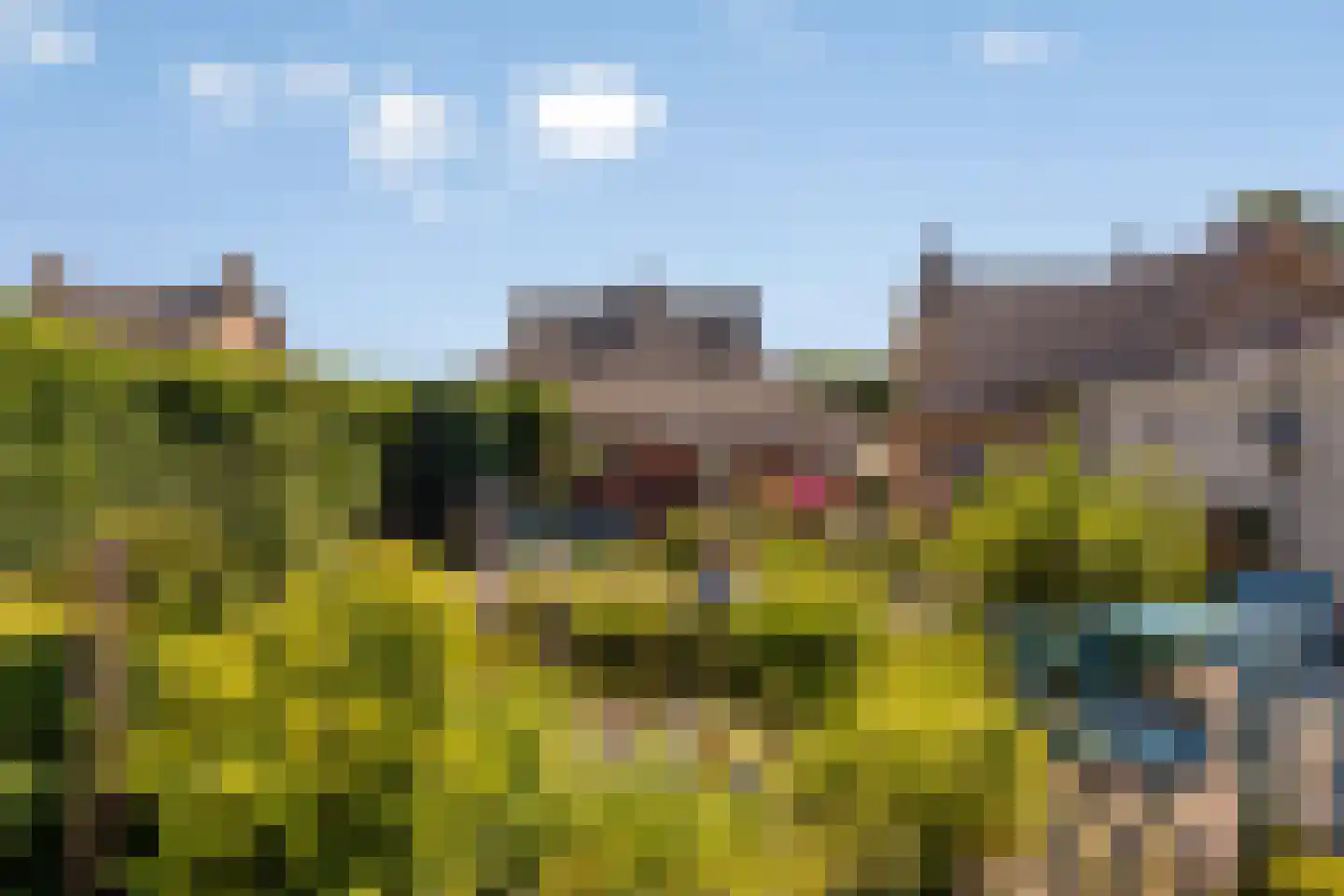 Kreitenmolenstraat 179 Udenhout thumbnail 39