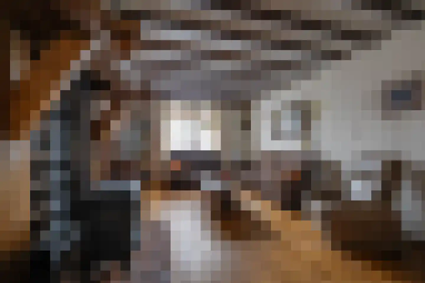 Kreitenmolenstraat 182 Udenhout thumbnail 10