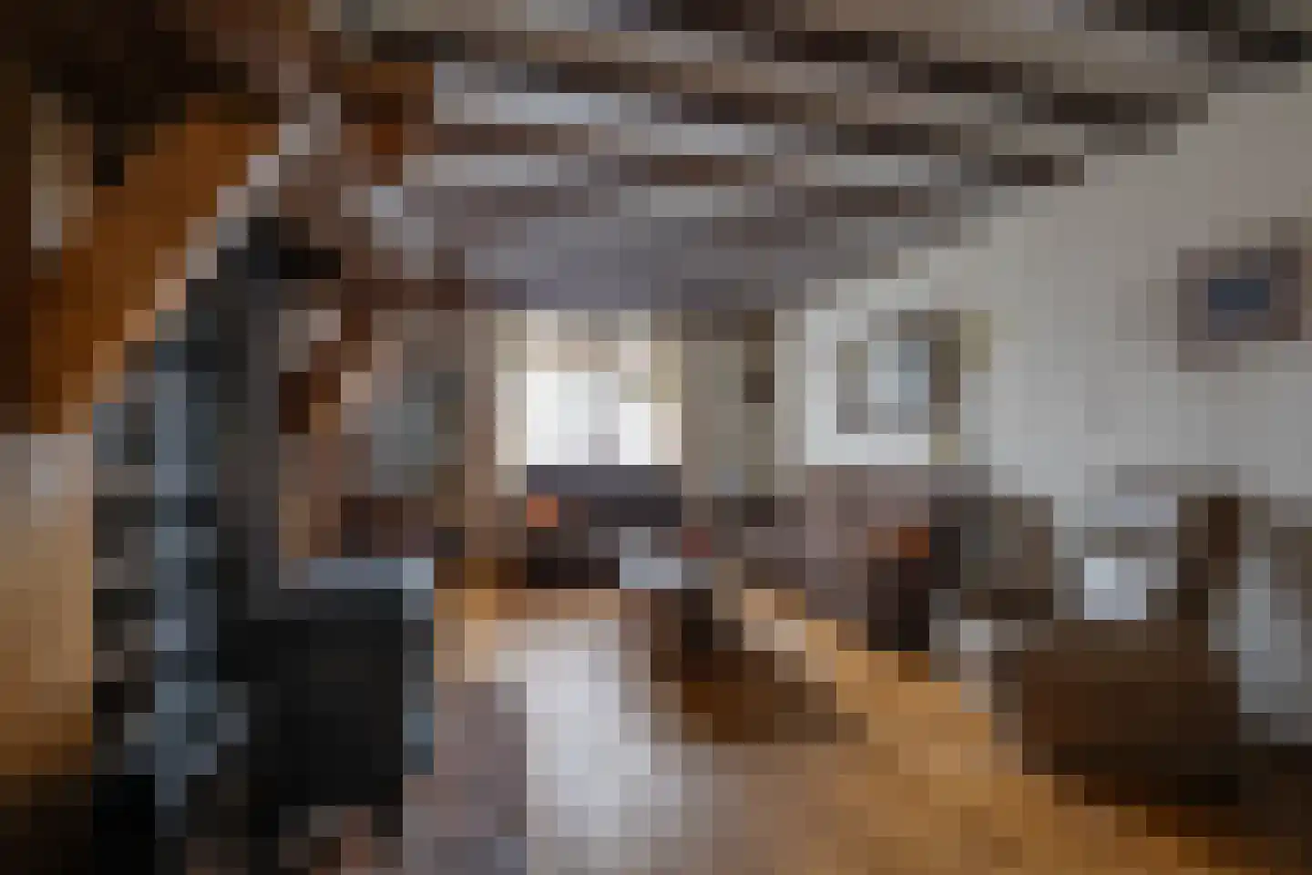 Kreitenmolenstraat 182 Udenhout thumbnail 13