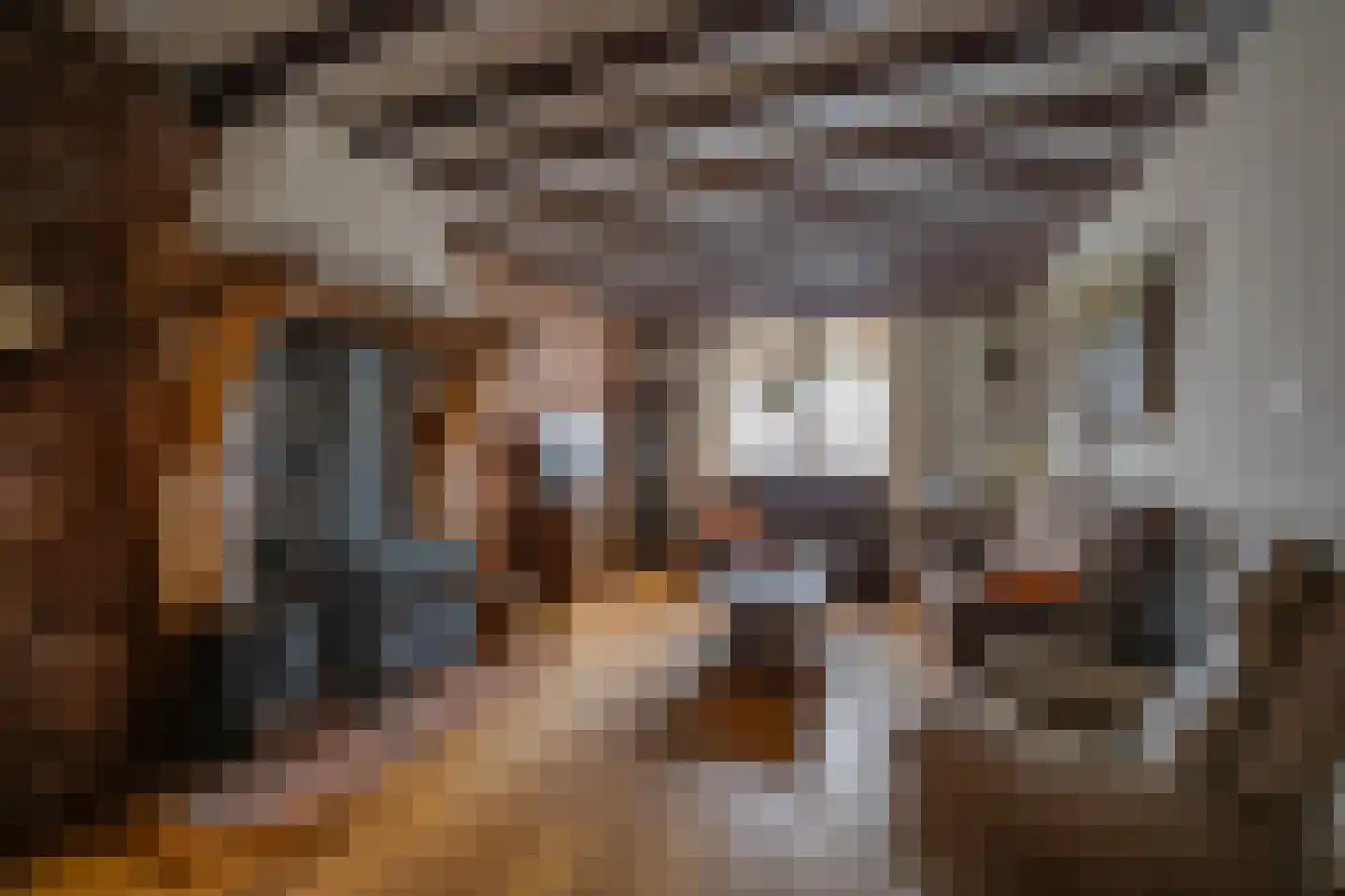 Kreitenmolenstraat 182 Udenhout thumbnail 14
