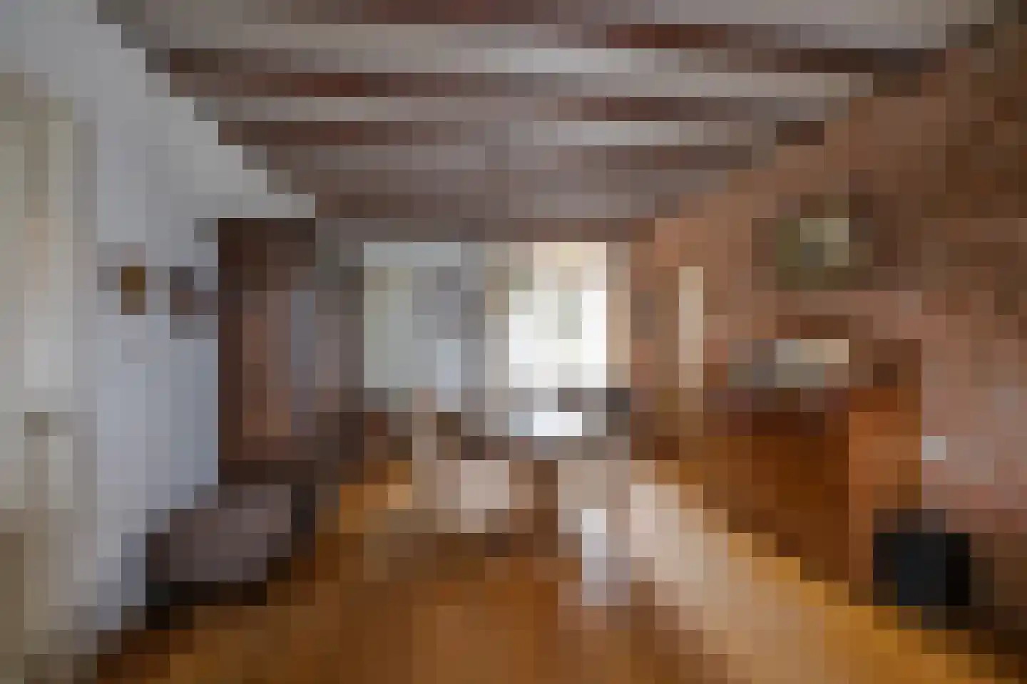 Kreitenmolenstraat 182 Udenhout thumbnail 15