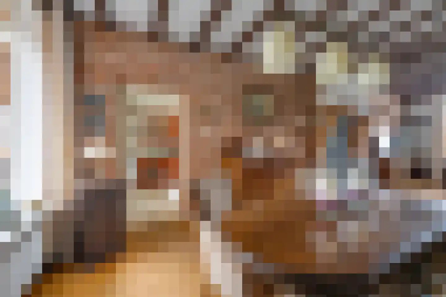 Kreitenmolenstraat 182 Udenhout thumbnail 16