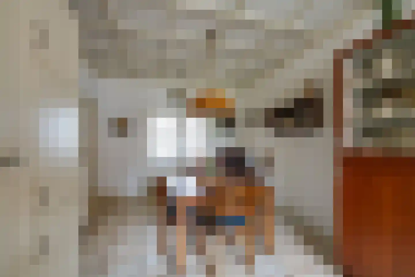 Kreitenmolenstraat 182 Udenhout thumbnail 22