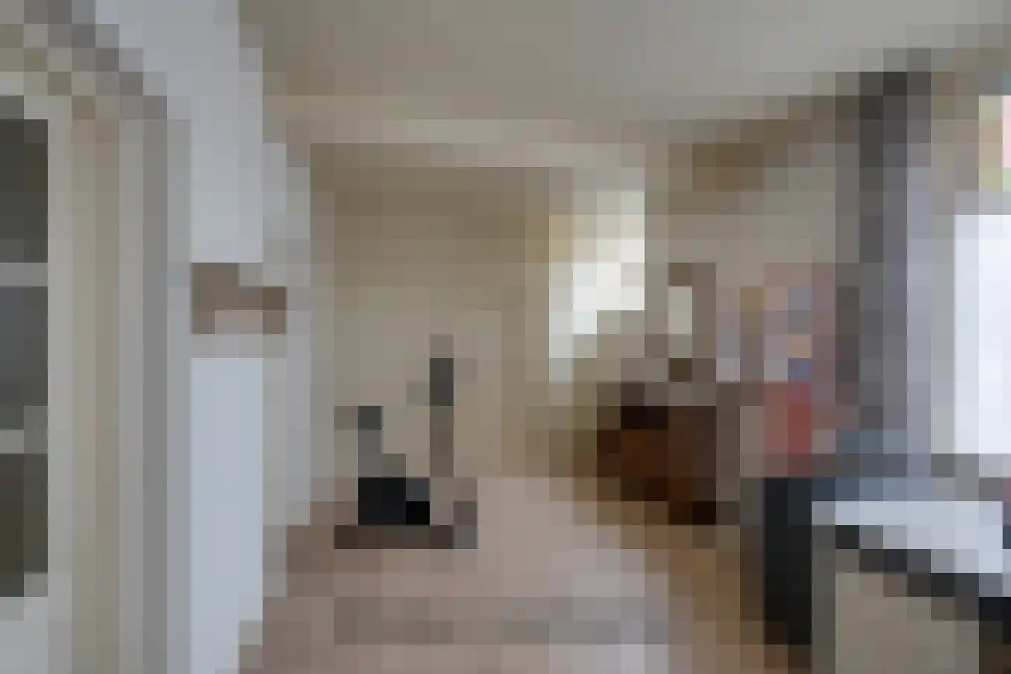 Kreitenmolenstraat 182 Udenhout thumbnail 23