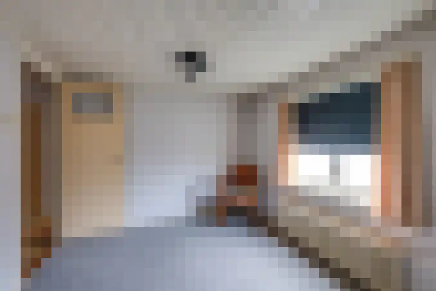 Kreitenmolenstraat 182 Udenhout thumbnail 36