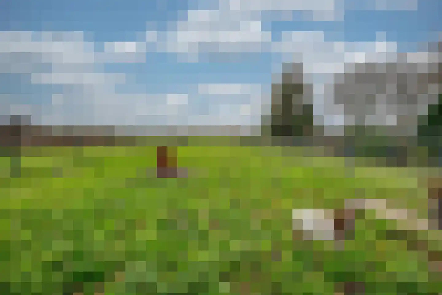 Kreitenmolenstraat 182 Udenhout thumbnail 65
