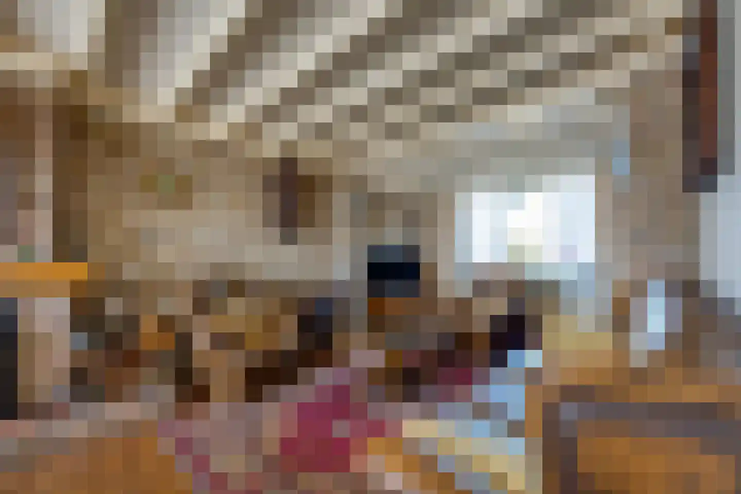 Kreitenmolenstraat 193 Udenhout thumbnail 14