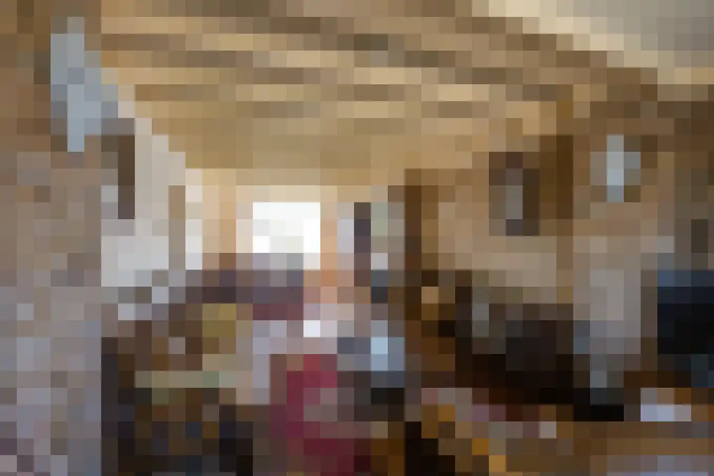 Kreitenmolenstraat 193 Udenhout thumbnail 16