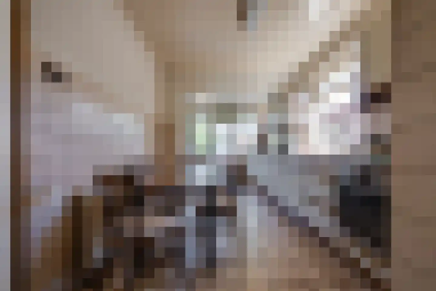 Kreitenmolenstraat 193 Udenhout thumbnail 9