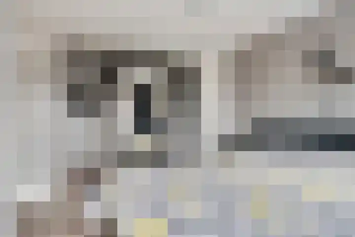 Kreitenmolenstraat 194 Udenhout thumbnail 16