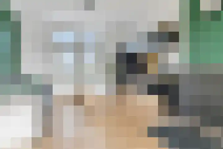 Kreitenmolenstraat 194 Udenhout thumbnail 5