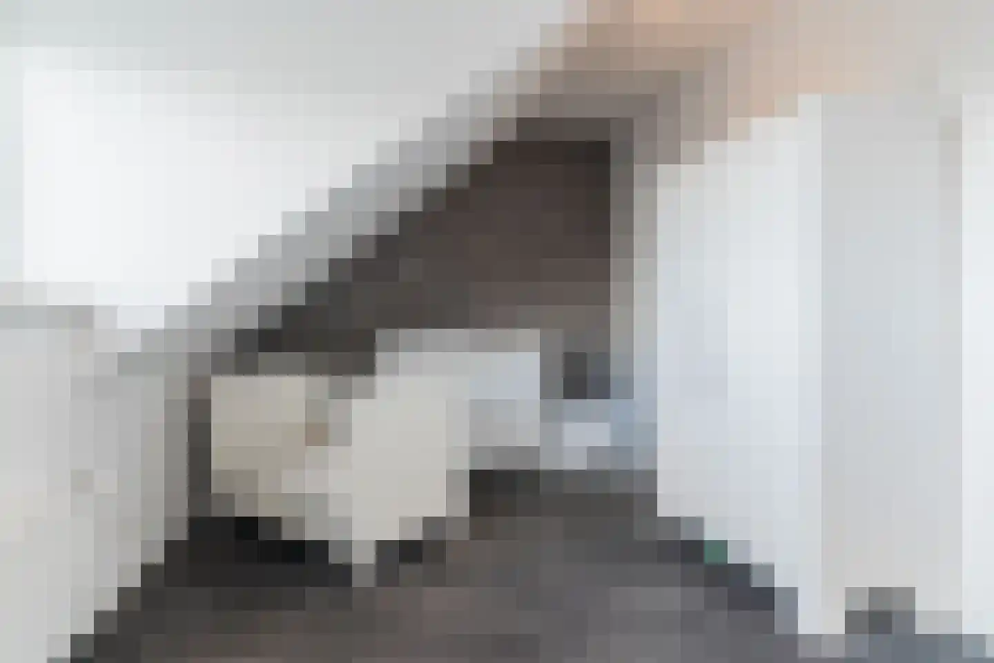 Kreitenmolenstraat 222 Udenhout thumbnail 33
