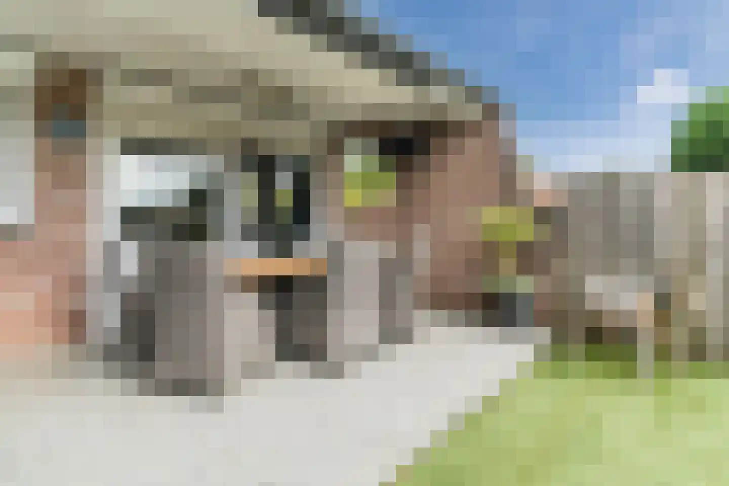 Kreitenmolenstraat 222 Udenhout thumbnail 48