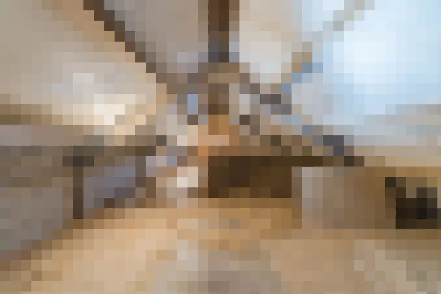 Kreitenmolenstraat 222 Udenhout thumbnail 50