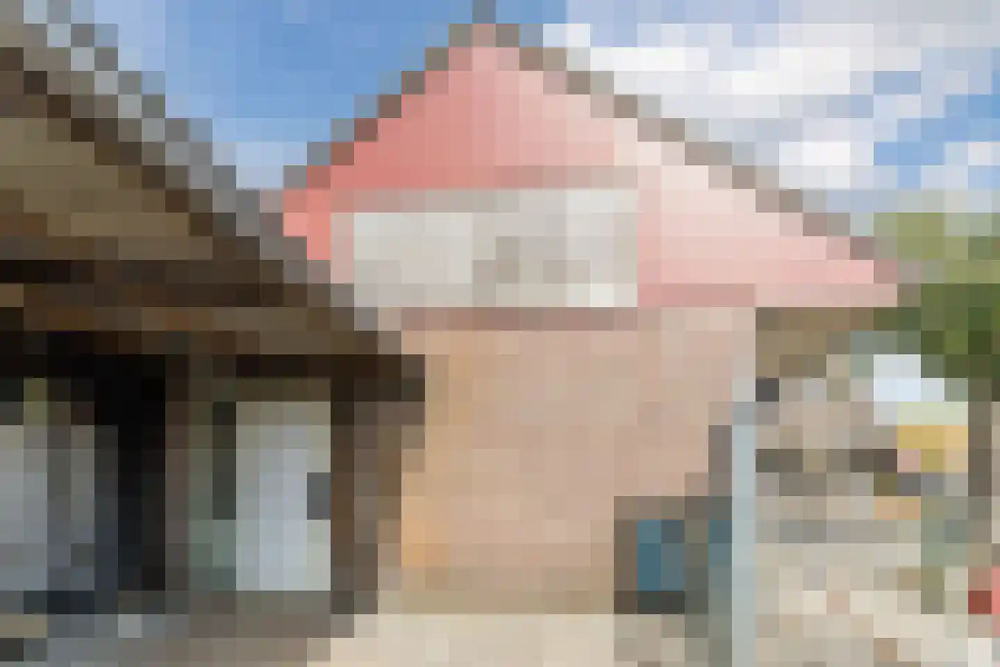 Kreitenmolenstraat 222 Udenhout thumbnail 52