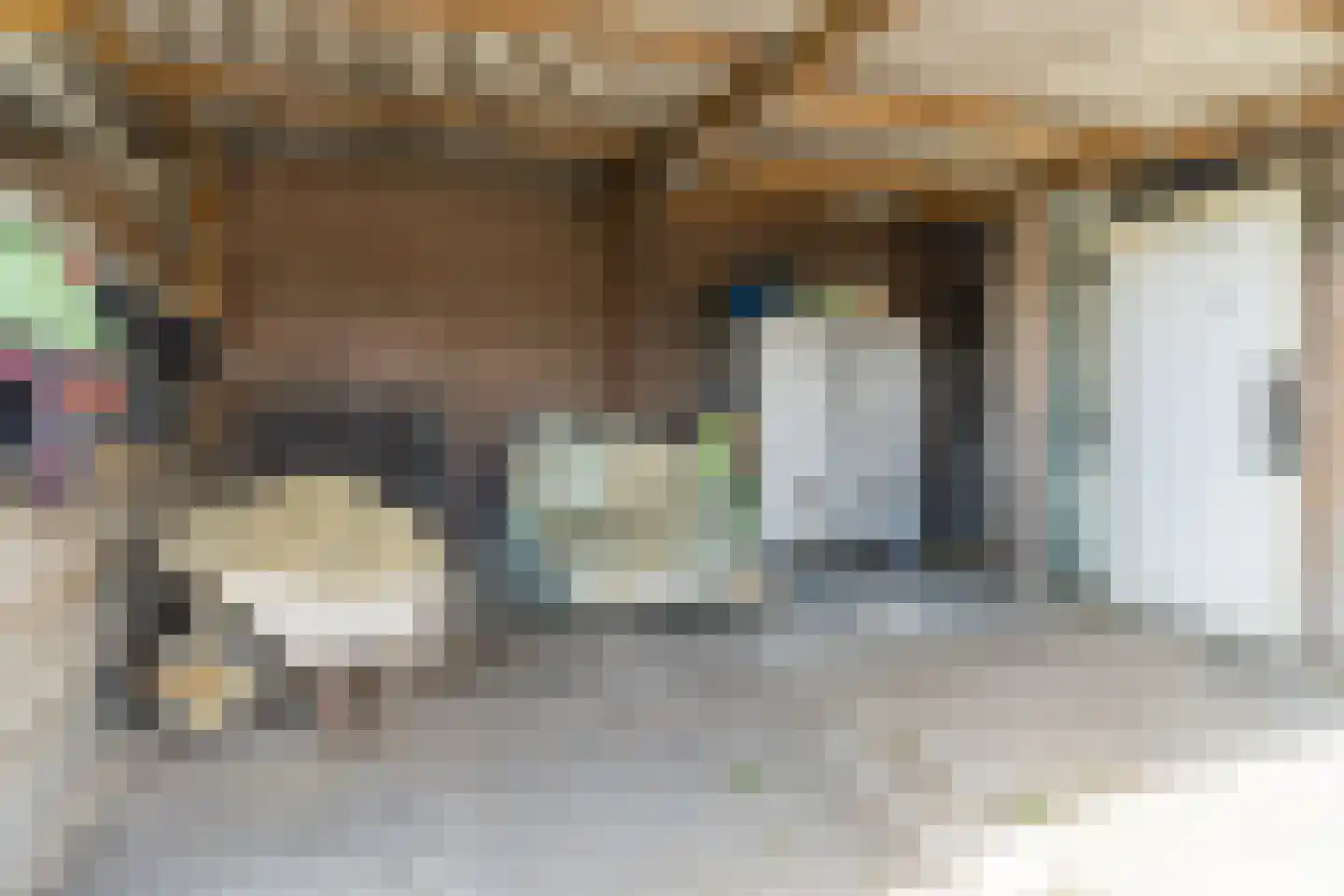 Kreitenmolenstraat 222 Udenhout thumbnail 53