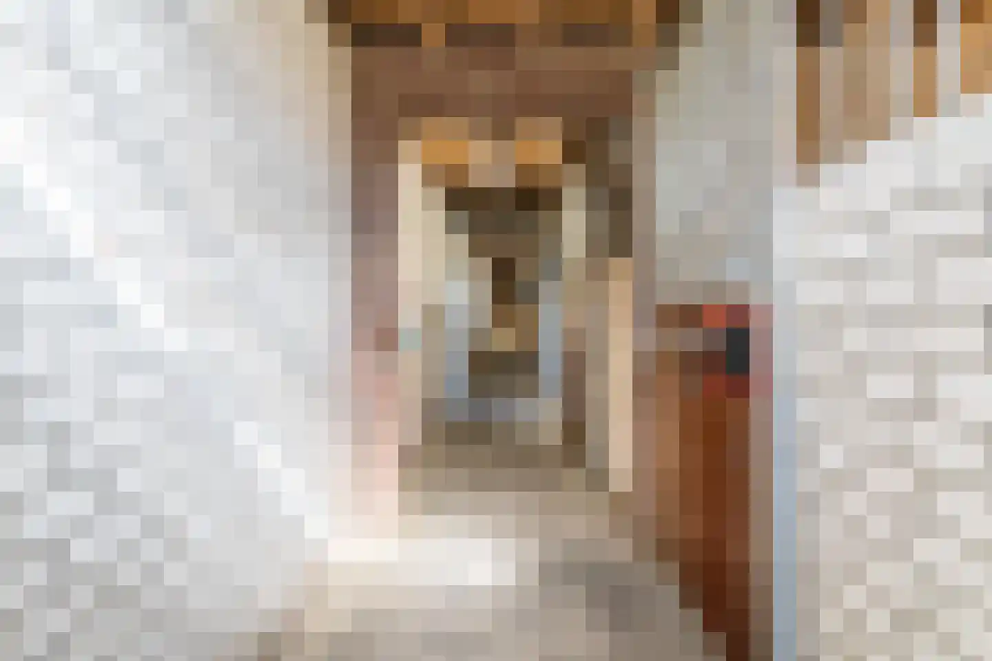 Kreitenmolenstraat 222 Udenhout thumbnail 55