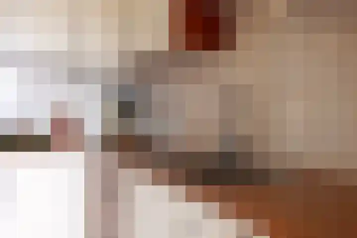 Kreitenmolenstraat 44 a Udenhout thumbnail 11